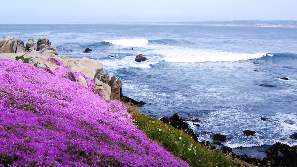 Discovery Inn Attraction