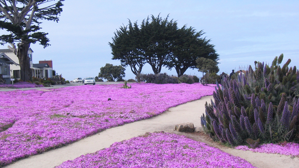 Discovery Inn Attraction